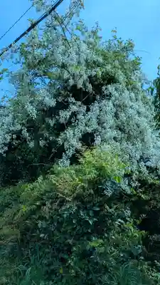 西光禅寺(滋賀県)