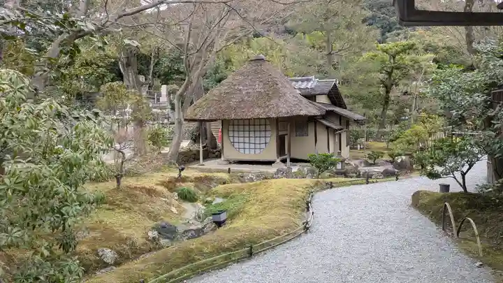高台寺(高台寿聖禅寺・高臺寺)(京都府)