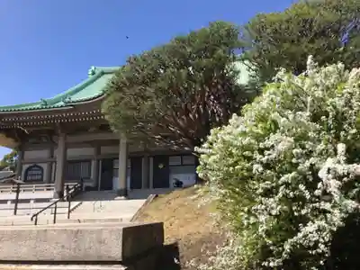 総持寺の本殿・本堂
