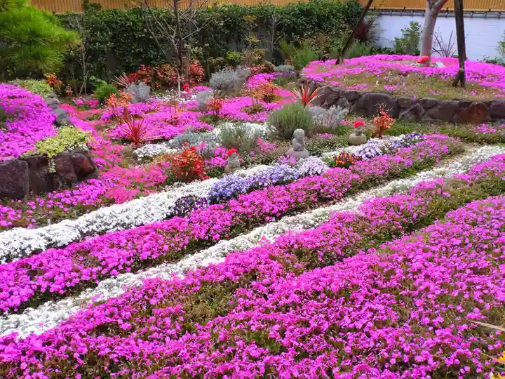 寿量山 速成寺(奈良県)