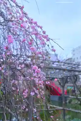 亀戸天神社(東京都)
