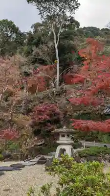 興聖寺(興聖寶林禅寺)(京都府)