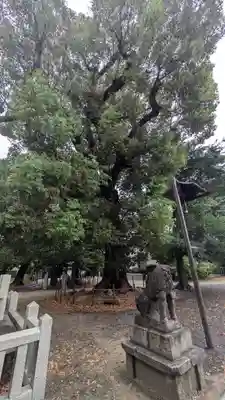 旭神社(大阪府)