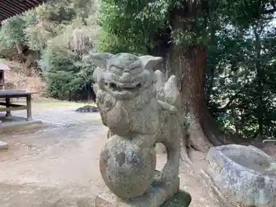 山神社の狛犬