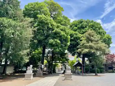 東村山八坂神社(東京都)