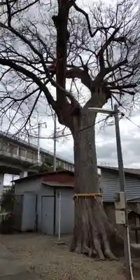 下食満稲荷神社(兵庫県)