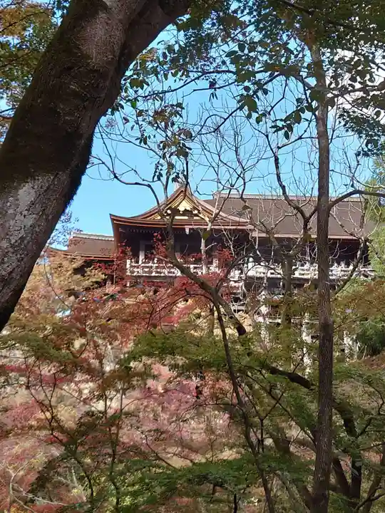 清水寺(京都府)