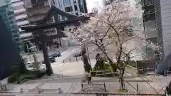 日枝神社の鳥居