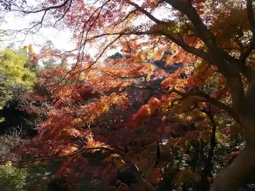 明王院（満願寺別院）の自然