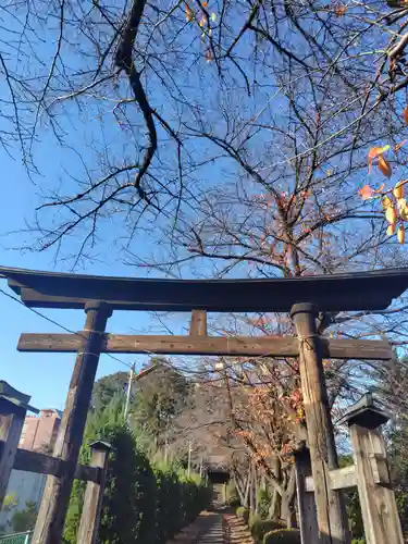 鶴ヶ丸八幡神社(埼玉県)