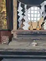 愛宕神社(邑楽町中野)(群馬県)