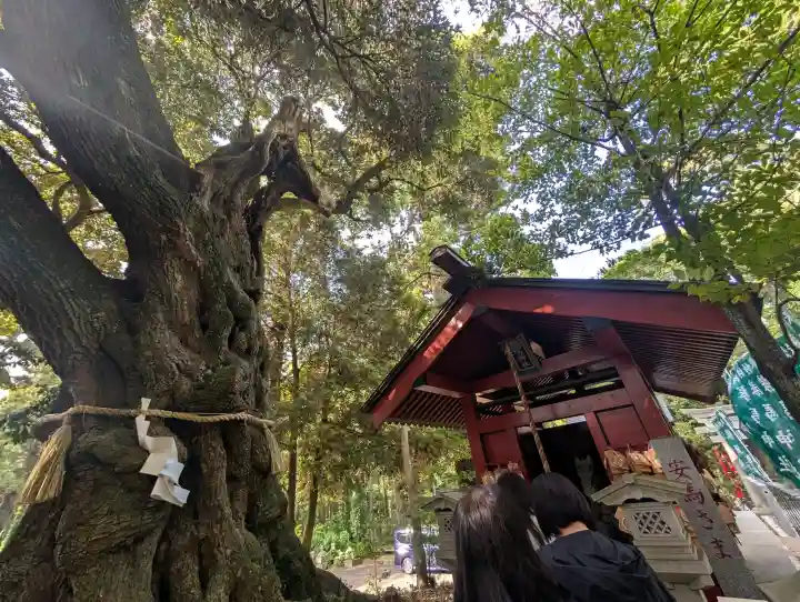 大杉神社 境内社 勝馬神社の{uncategorized: "未分類", other: "その他", undefined: "問題あり", building: "その他建物", grave: "お墓", sacred_gate: "鳥居", guardian: "狛犬", statue: "像", buddha: "仏像", history: "歴史", nature: "自然", garden: "庭園", animal: "動物", pagoda: "塔", temizu: "手水舎", mountain_gate: "山門・神門", sanctuary: "本殿・本堂", subordinate: "末社・摂社", art: "芸術", scenery: "景色", jizo: "地蔵", ema: "絵馬", goshuin: "御朱印", omikuji: "おみくじ", items: "授与品その他", amulet: "お守り", goshuincho: "御朱印帳", eats: "食事", festival: "お祭り", votive_dance: "神楽", shichigosan: "七五三参", wedding: "結婚式", experience: "体験その他", initially: "初詣", around: "周辺", anti_infection: "感染症対策"}