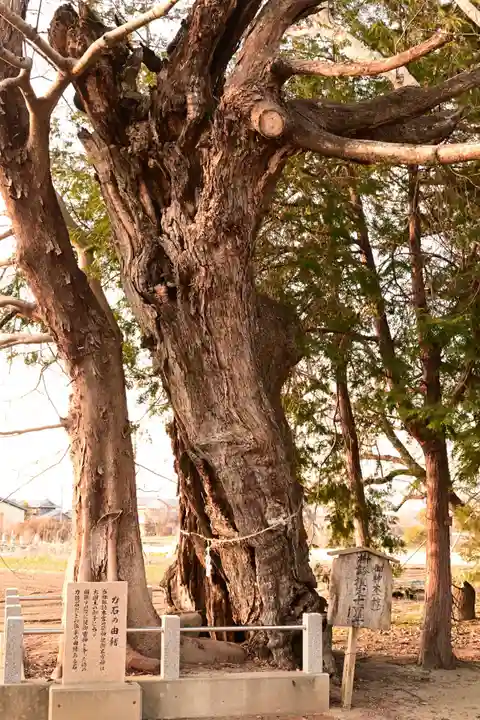 多祁御奈刀弥神社(徳島県)