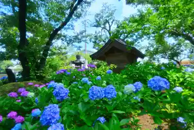 妙楽寺(神奈川県)
