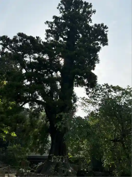 筑波山神社(茨城県)