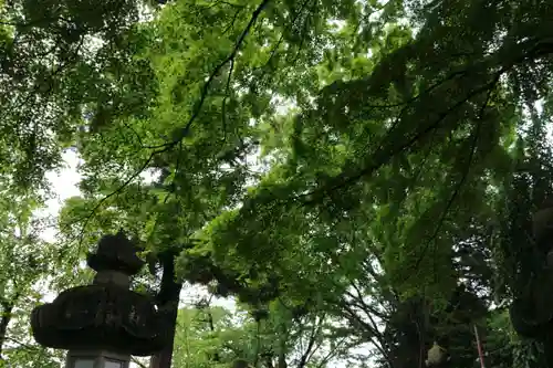 神炊館神社 ⁂奥州須賀川総鎮守⁂の自然