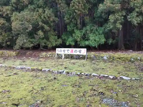 白石神社（若狭彦神社境外末社）の{uncategorized: "未分類", other: "その他", undefined: "問題あり", building: "その他建物", grave: "お墓", sacred_gate: "鳥居", guardian: "狛犬", statue: "像", buddha: "仏像", history: "歴史", nature: "自然", garden: "庭園", animal: "動物", pagoda: "塔", temizu: "手水舎", mountain_gate: "山門・神門", sanctuary: "本殿・本堂", subordinate: "末社・摂社", art: "芸術", scenery: "景色", jizo: "地蔵", ema: "絵馬", goshuin: "御朱印", omikuji: "おみくじ", items: "授与品その他", amulet: "お守り", goshuincho: "御朱印帳", eats: "食事", festival: "お祭り", votive_dance: "神楽", shichigosan: "七五三参", wedding: "結婚式", experience: "体験その他", initially: "初詣", around: "周辺", anti_infection: "感染症対策"}