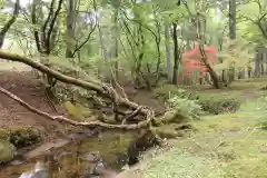 深山巴の宿の自然