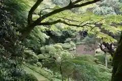 千如寺大悲王院の庭園