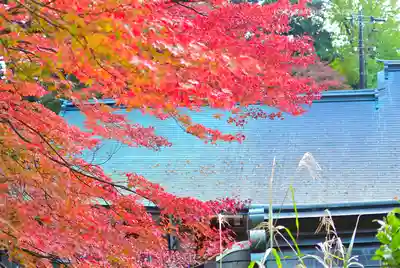 高尾山薬王院(東京都)
