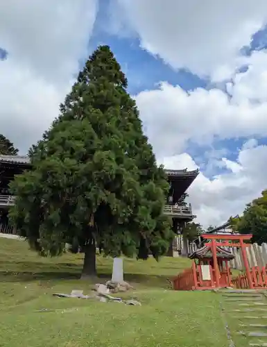 興成神社（東大寺境内社）(奈良県)