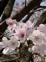 世直神社(福井県)