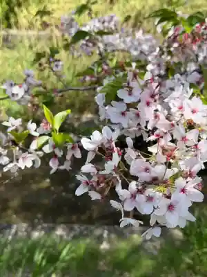 大楽寺の{uncategorized: "未分類", other: "その他", undefined: "問題あり", building: "その他建物", grave: "お墓", sacred_gate: "鳥居", guardian: "狛犬", statue: "像", buddha: "仏像", history: "歴史", nature: "自然", garden: "庭園", animal: "動物", pagoda: "塔", temizu: "手水舎", mountain_gate: "山門・神門", sanctuary: "本殿・本堂", subordinate: "末社・摂社", art: "芸術", scenery: "景色", jizo: "地蔵", ema: "絵馬", goshuin: "御朱印", omikuji: "おみくじ", items: "授与品その他", amulet: "お守り", goshuincho: "御朱印帳", eats: "食事", festival: "お祭り", votive_dance: "神楽", shichigosan: "七五三参", wedding: "結婚式", experience: "体験その他", initially: "初詣", around: "周辺", anti_infection: "感染症対策"}