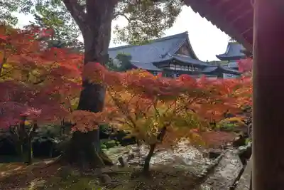 東福禅寺(東福寺)(京都府)