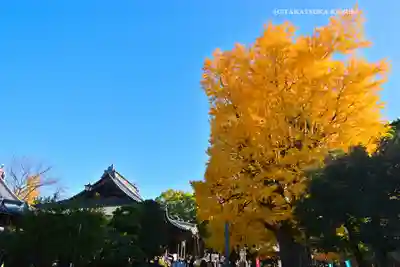 鑁阿寺(栃木県)