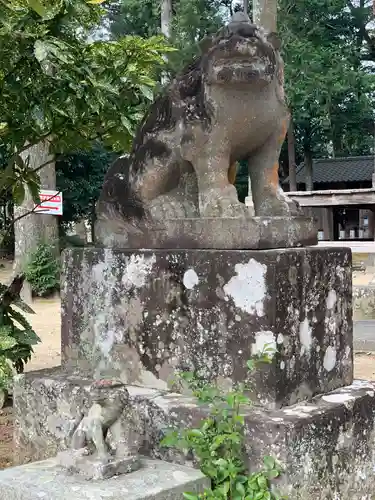 川津来宮神社の狛犬