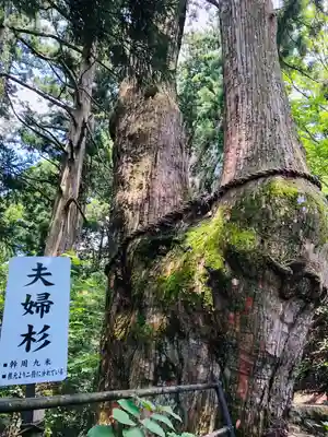 玉置神社のその他建物