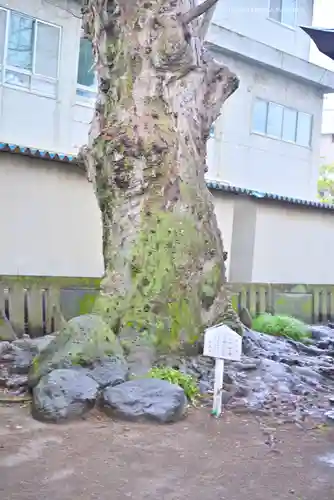 楊原神社(静岡県)