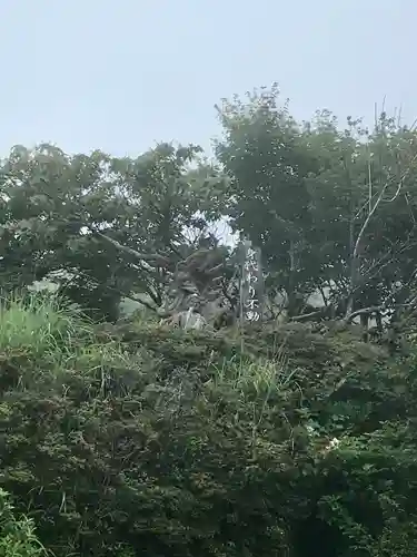 鶴見山上権現一の宮(大分県)
