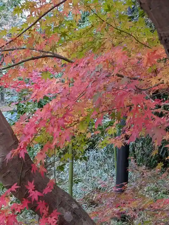 円覚寺(神奈川県)