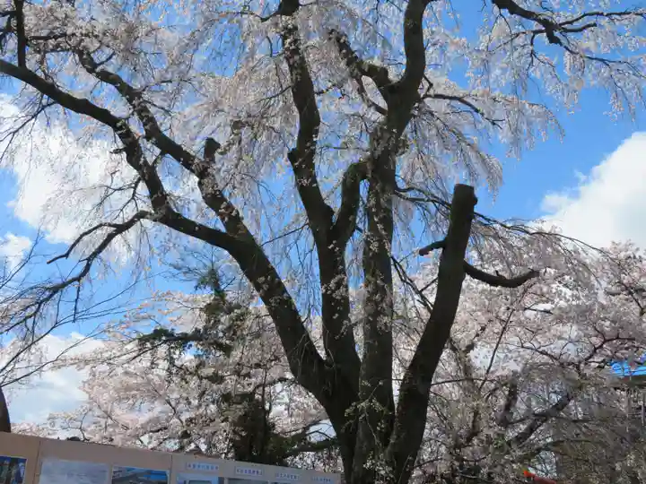妙徳寺(福島県)