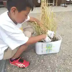 七重浜海津見神社の自然