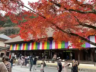 永源寺(滋賀県)