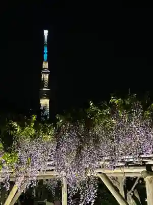 亀戸天神社(東京都)