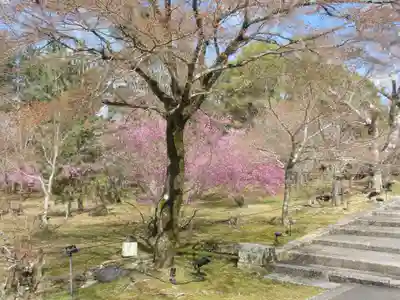 仁和寺(京都府)