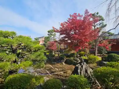 蓮華王院（三十三間堂）(京都府)