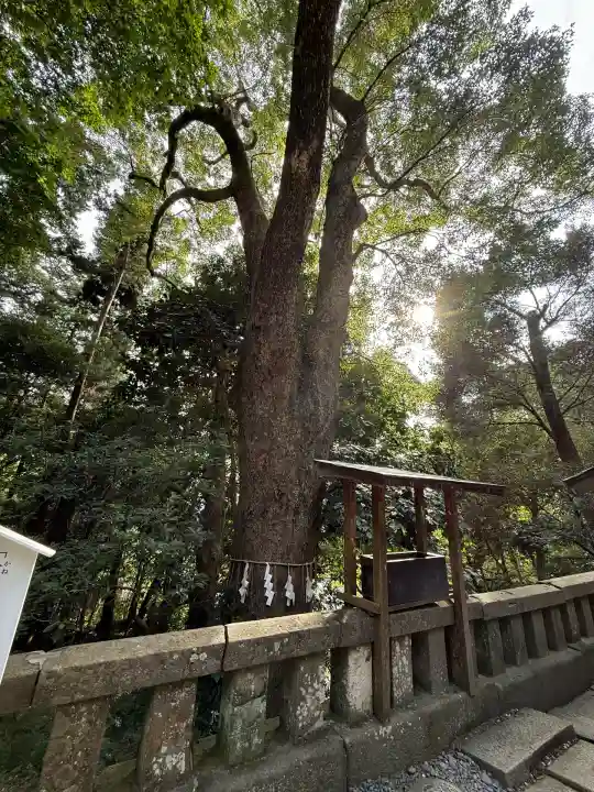 久能山東照宮(静岡県)