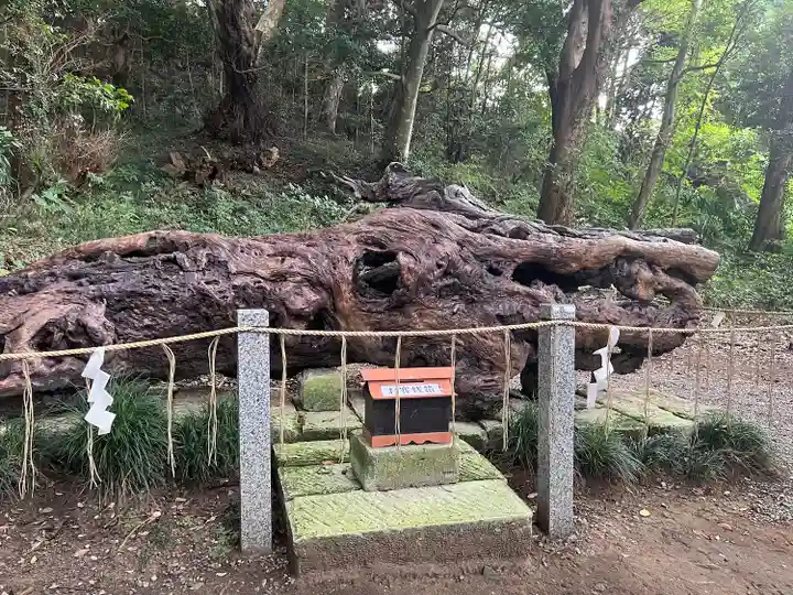 泉神社(茨城県)