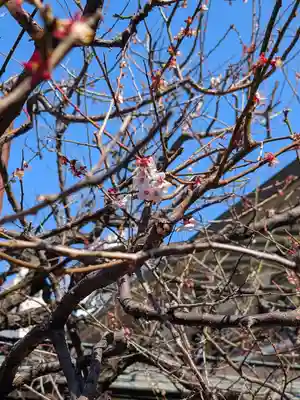 湯島天満宮(東京都)