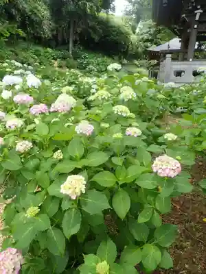 妙楽寺(神奈川県)