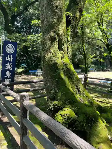仙波東照宮(埼玉県)