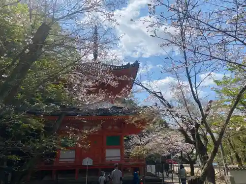 金剛宝寺（紀三井寺）(和歌山県)