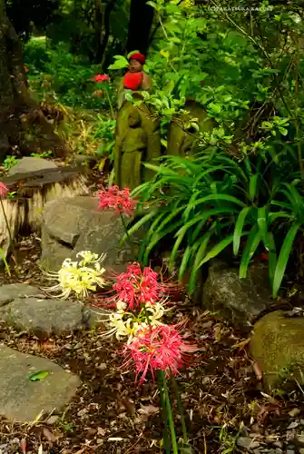高幡不動尊　金剛寺(東京都)