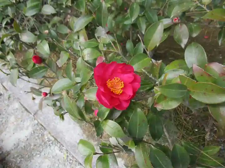 伊勢神宮内宮(皇大神宮)(三重県)