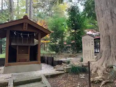 塚崎神明社(千葉県)