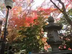 深大寺の庭園